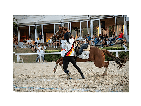 Mounted Games Welteinzelmeisterschaft