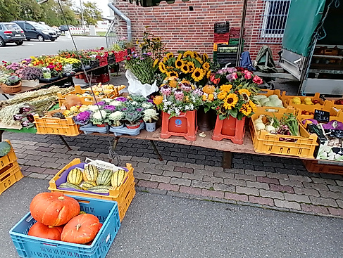 Markttag in Wesselburen