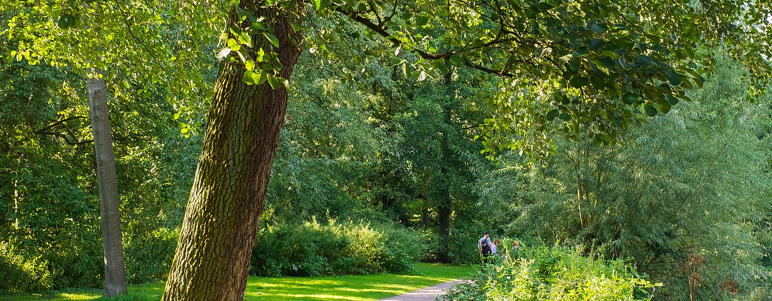 Stadtpark Hamburg