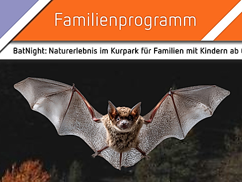 BatNight – Naturerlebnis für Familien mit Kindern ab 6 Jahren