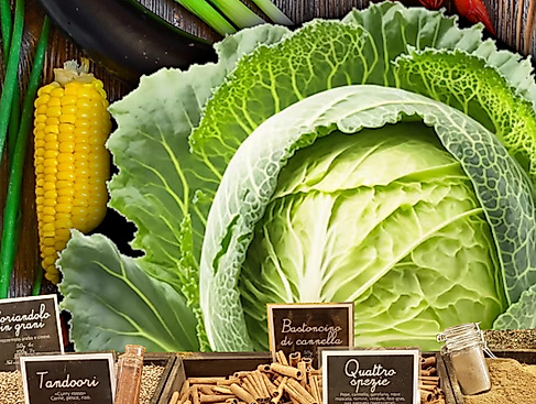 Kohl-fair-gnügen