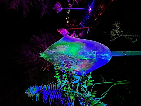 Der Nordstrand leuchtet 2.0