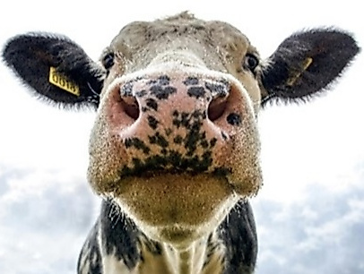 Hofgottesdienst in Bargstedt; P. Dr. Bergemann