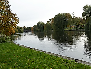 Es grünt so grün – nordwärts