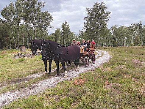 TZR_Kleine_Heiderundfahrt_202307251D5868_korr