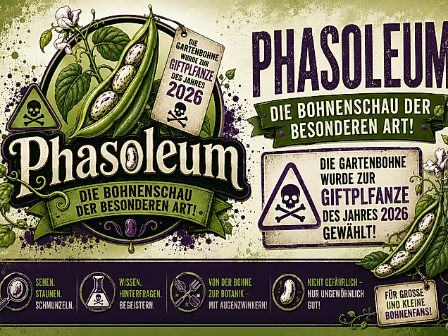 Phasoleum