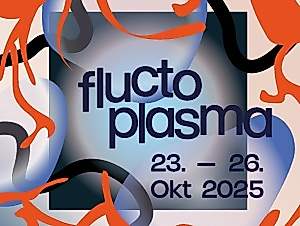 2025_Ausstellung_Fluctoplasma