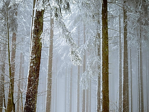 Kulturladen St. Georg