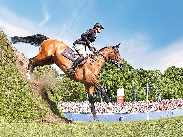 Derby2014 Titelmotiv Thieme 15x10