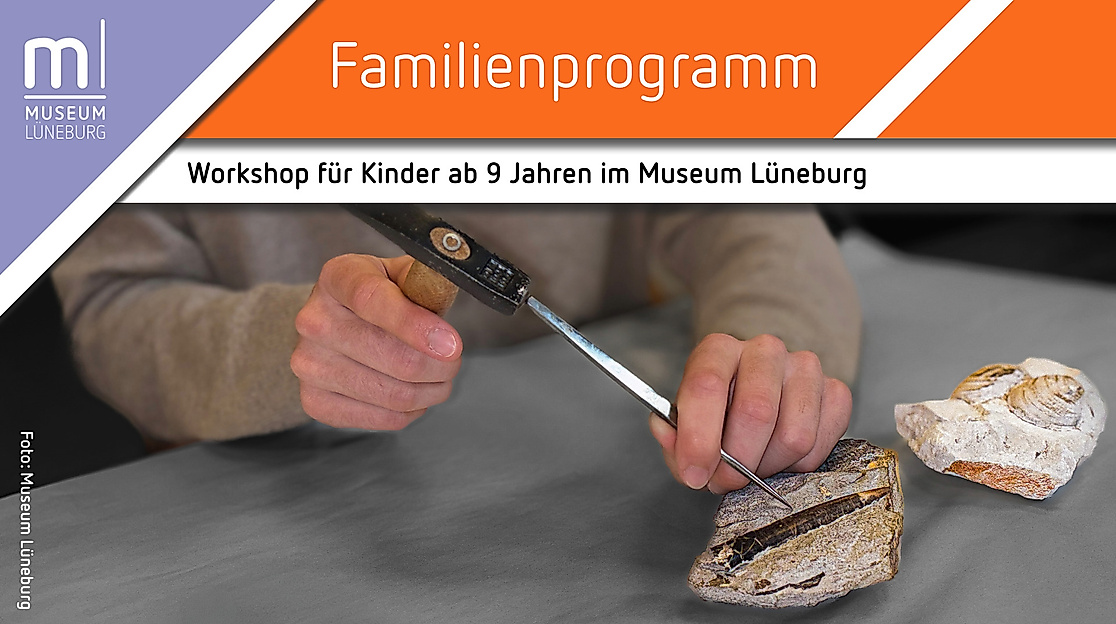 Fossilien präparieren für Kinder – Aus der Natur in die Vitrine
