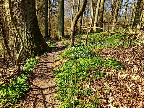 Pilgern durch die Jahreszeiten