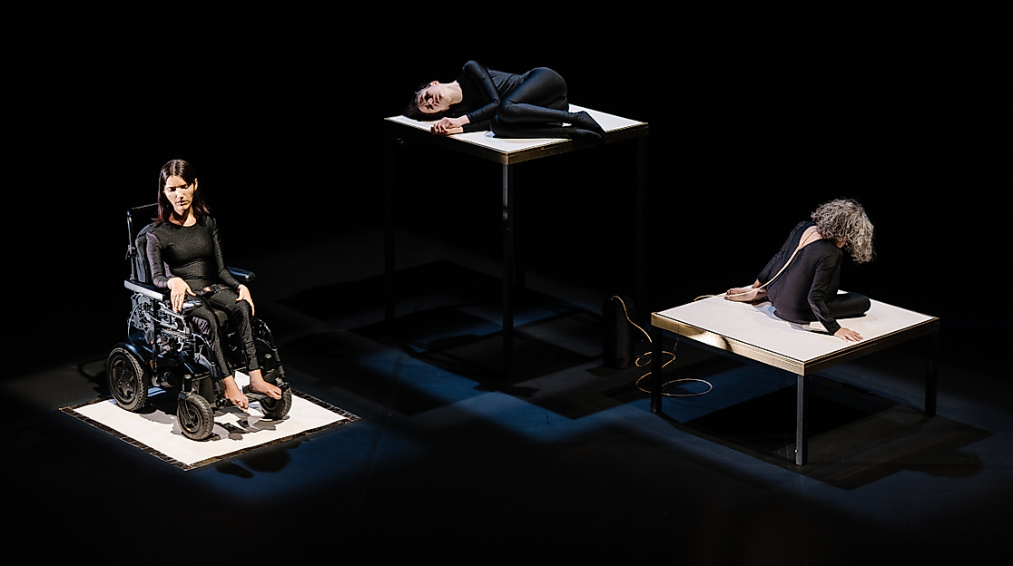 Ausschnitt aus »Michel – The Animals I Am« von Chiara Bersani.