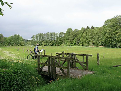 Rieselwiese