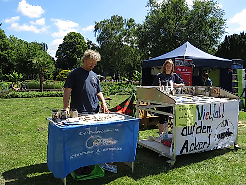Infostand Schutzstation Wattenmeer