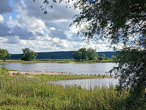 Woche der Natur - Elbstrandtour