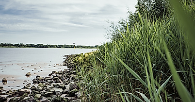 Elbstrand Wittenbergen