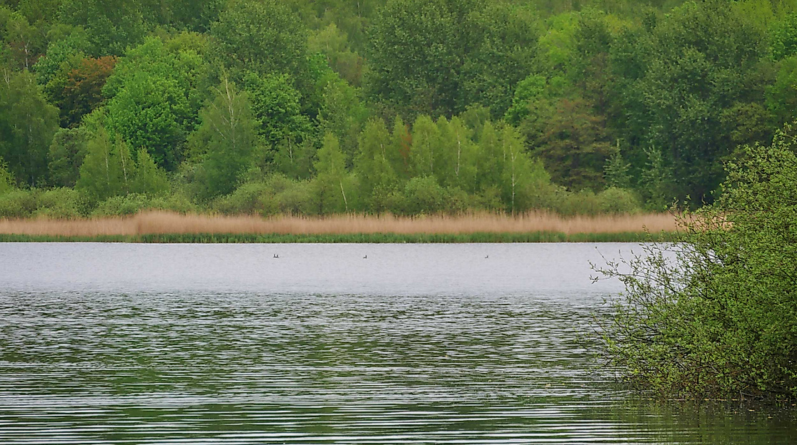 volksdorfer-teichwiesen-c-clarini-adobestock
