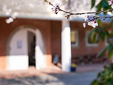 Gesprächsgottesdienst mit der Kantorei