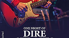 One Night of Dire Straits - Tribute Show