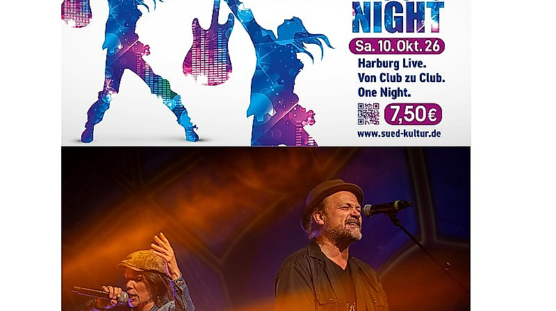 Suedkultur Music Night: Nervling