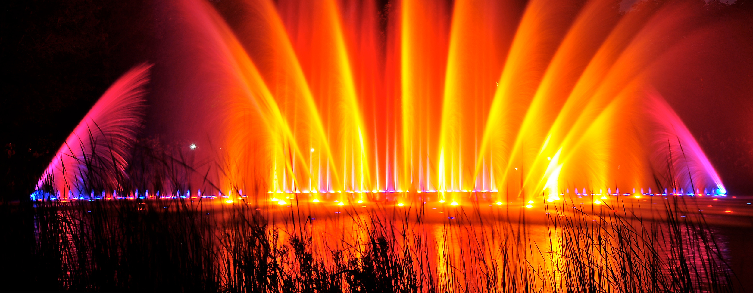 Wasserlichtspiele Planten un Blomen