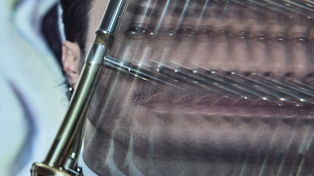 4. Philharmonisches Konzert