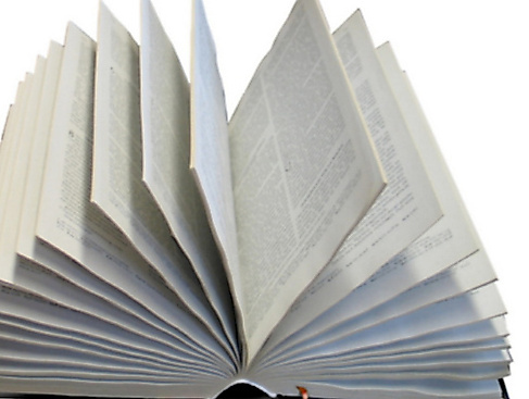 Gespräch zu biblischen Themen