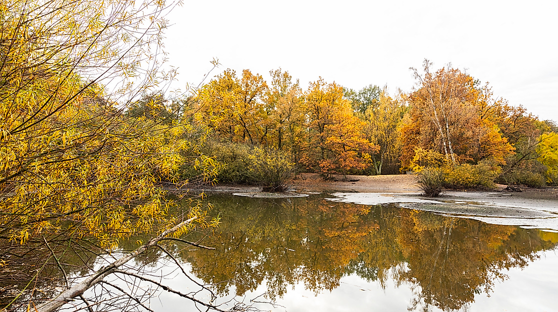 lee_maas_timo_sommer_hamburger_norden_eppendorfer_moor_3000px_argb_338