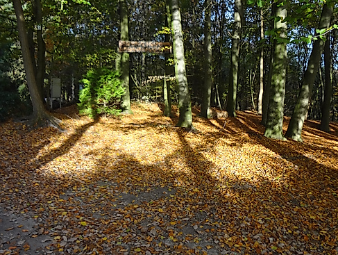 Waldbaden