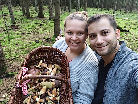 Pilzwanderung Hamburg, Pilzkorb nach Pilzführung im Wald