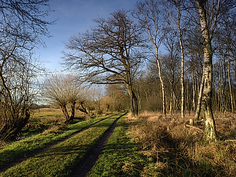Duvenstedter Brook