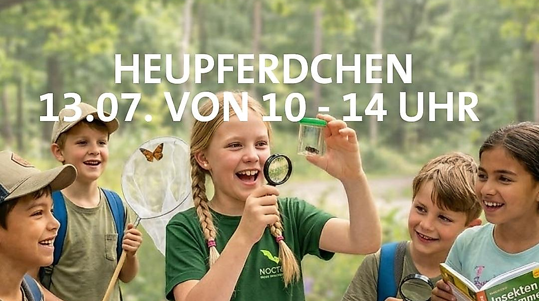 Heupferdchen