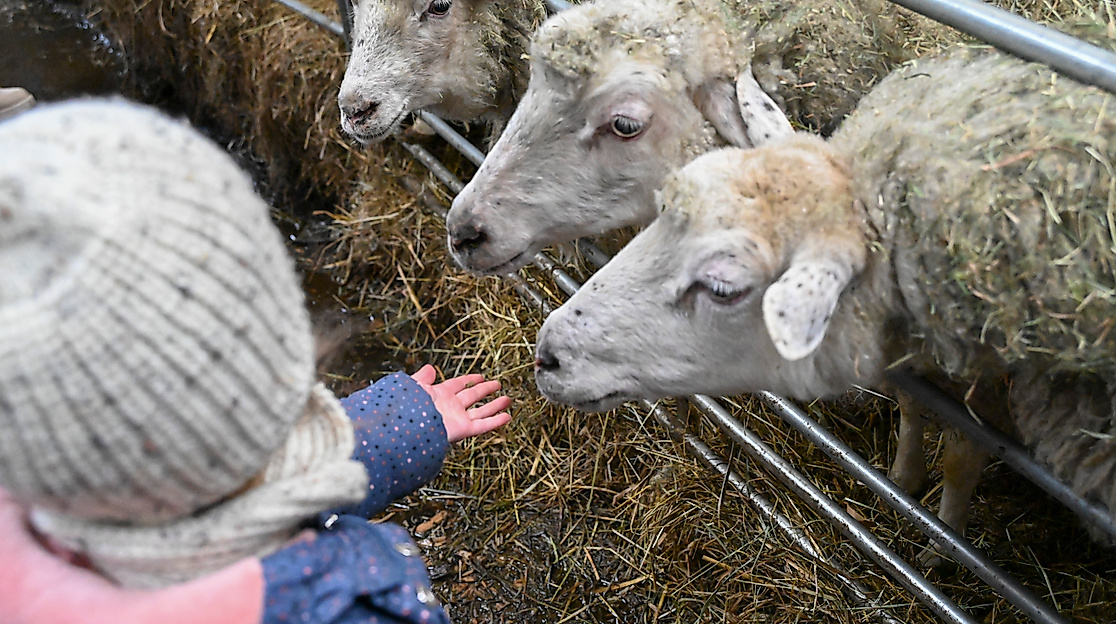 Apfel-Fest Lüneburger Streuobstwiesen e.V.