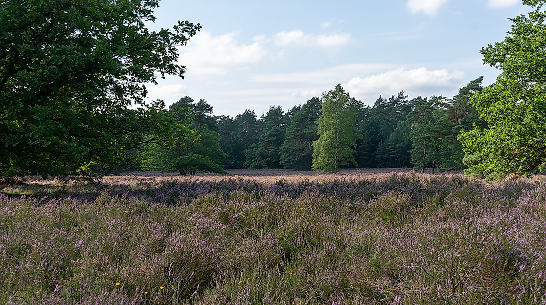Naturparktag