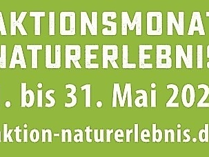 Brennnesseln - die unterschätzten Wunderpflanzen