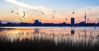 Außenalster Winter