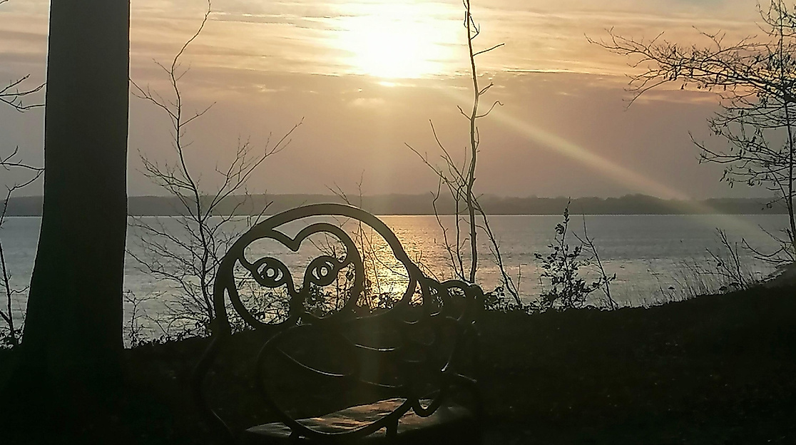Natur-Resilienz-Reise zu Sonnenaufgang