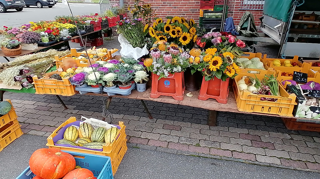 Markttag in Wesselburen