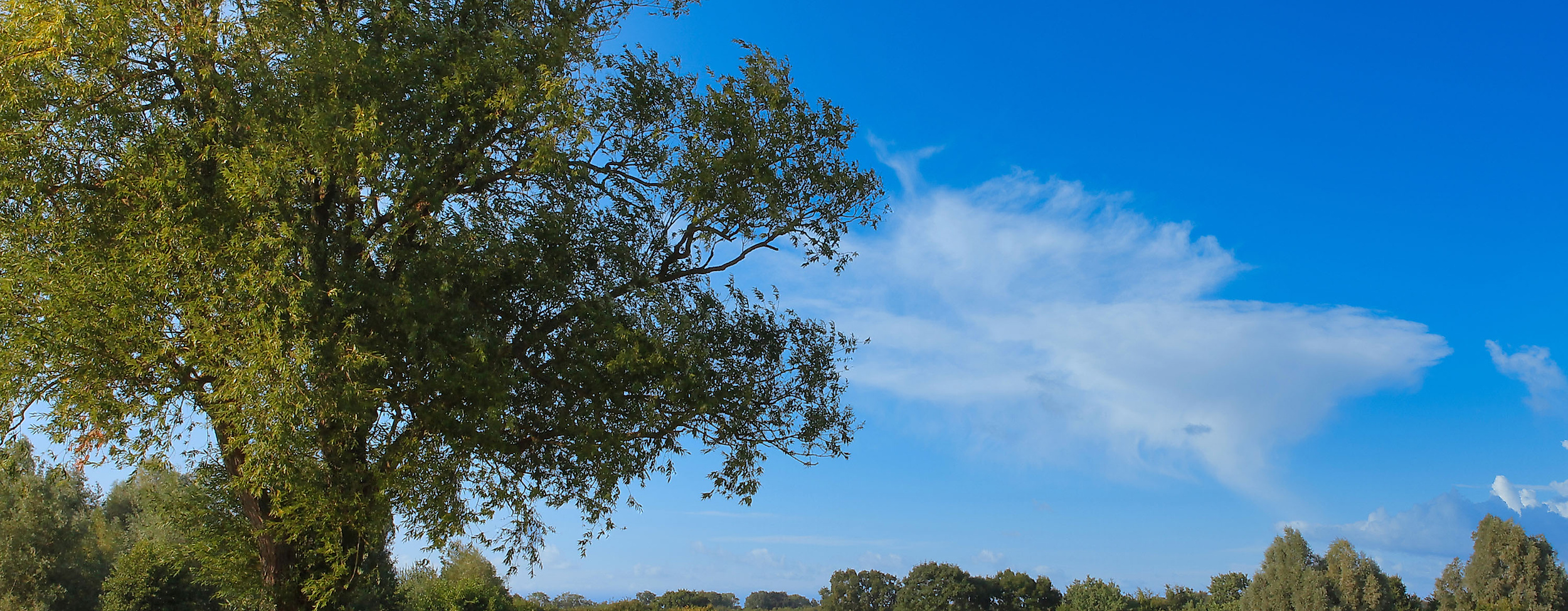 Maritim Golfpark Ostsee Schloss