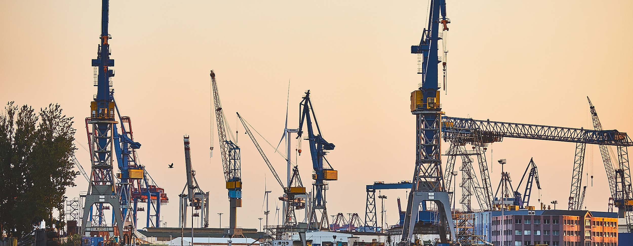 hafen_docks-sonnenuntergang_c-thisisjulia-photography-5_1