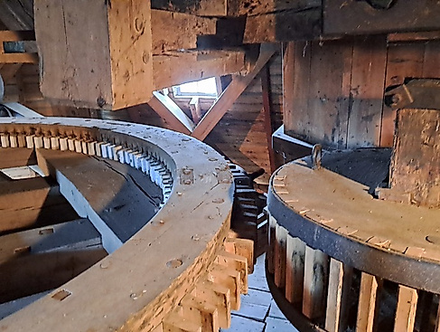 Radtour am Mühlentag nach Wilster