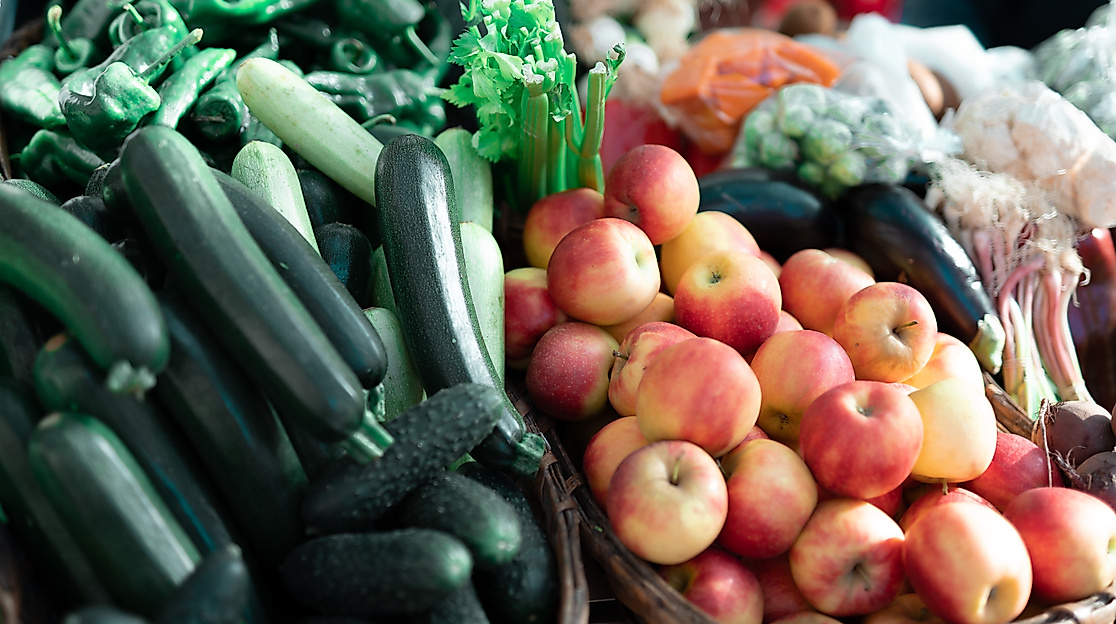 inigo-de-la-maza-r8nr8xmwsra-unsplash