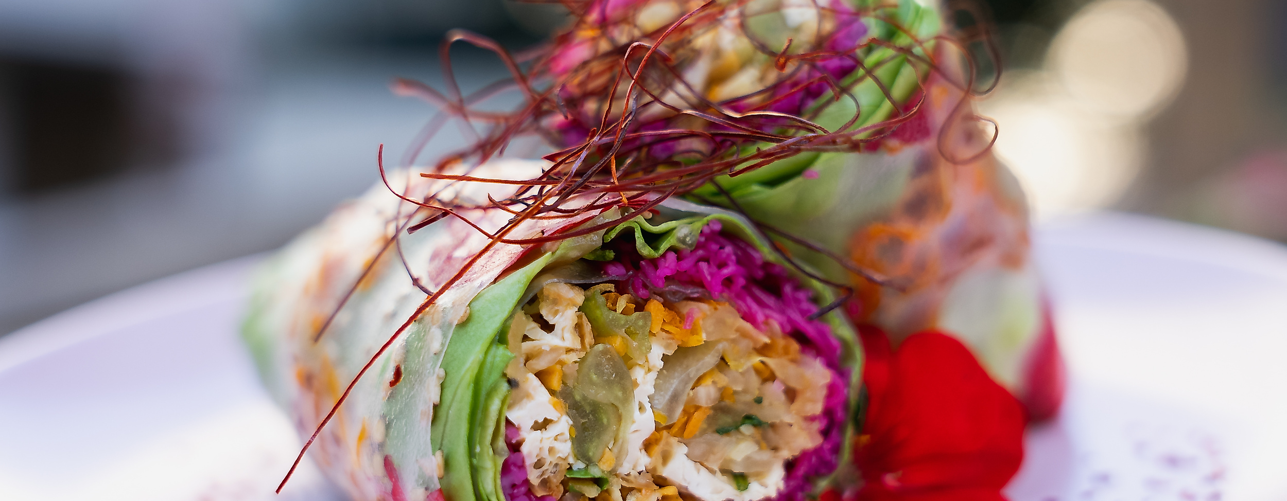 summerrolls_ii_c-daodao