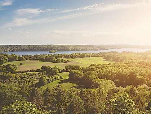 Neujahrskonzert: Flöte! Klasse!