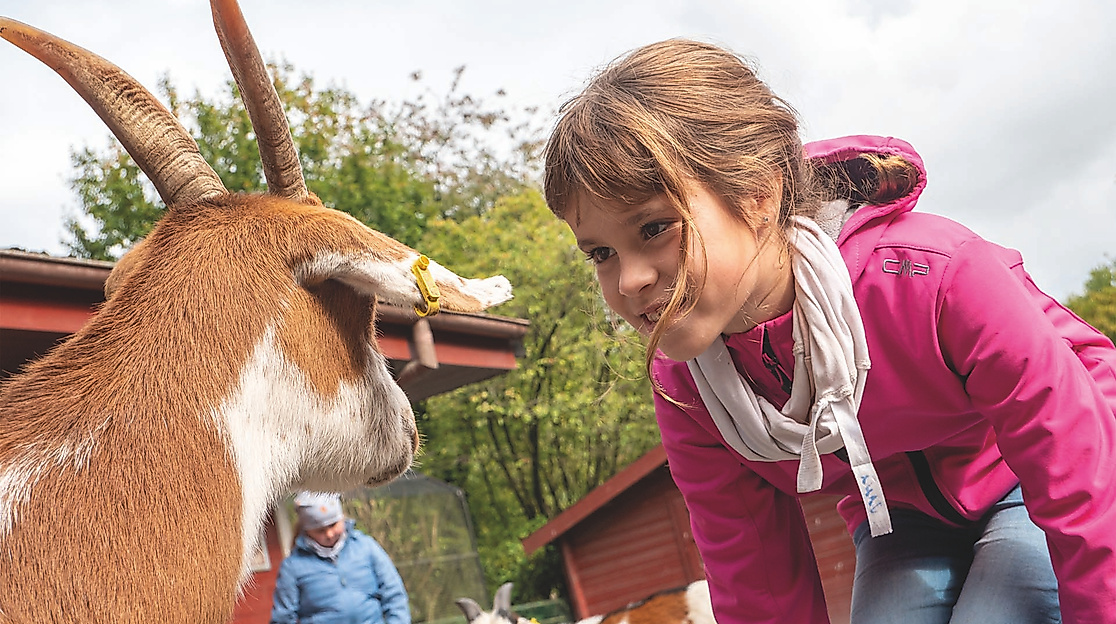 Kindertag im Wingster Waldzoo