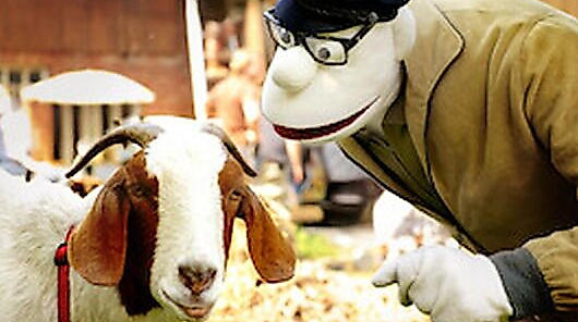 Werner Momsen - Momsen, Tiere, Sensationen