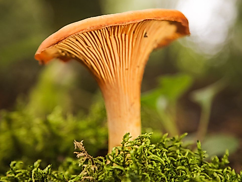 Design ohne Titelccc