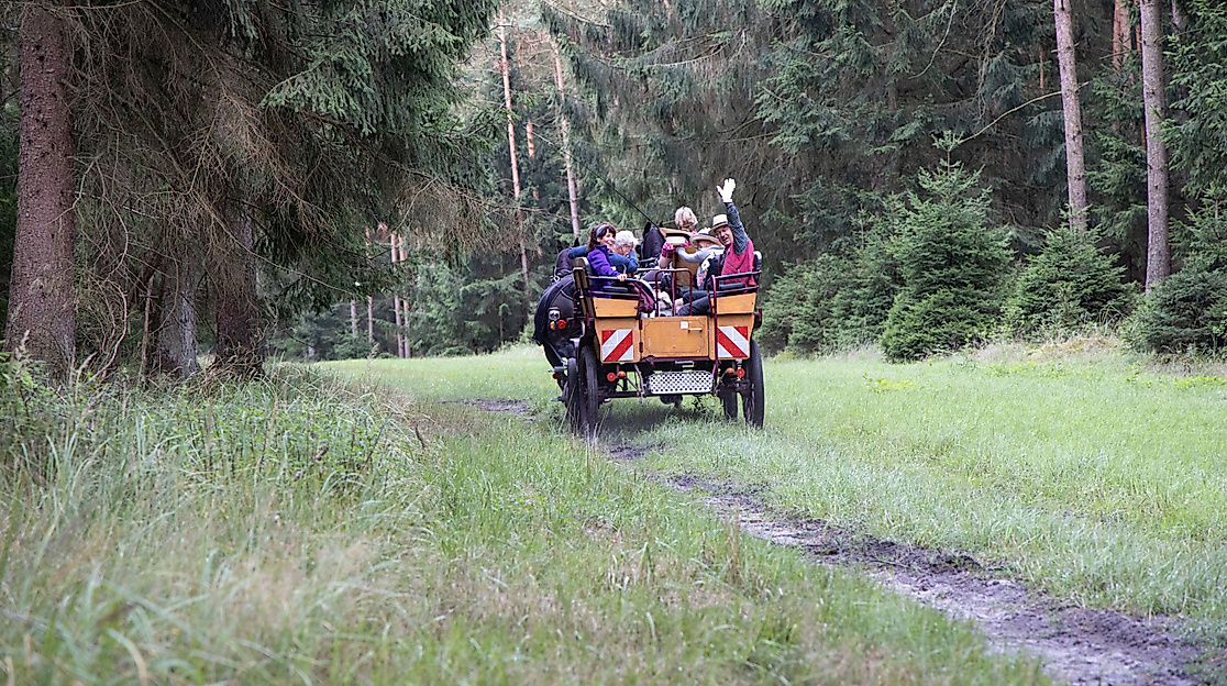 Entdeckertour - Abenteuer Wald