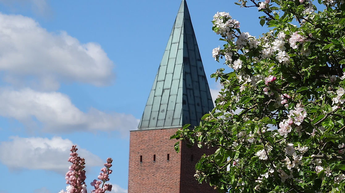 Gottesdienst - 5. Sonntag nach Trinitatis
