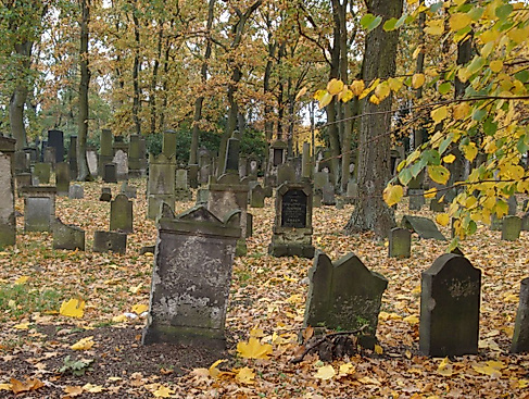 Friedhof Langenfelde